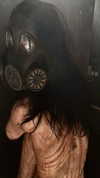 asylome Altpins Profile Picture