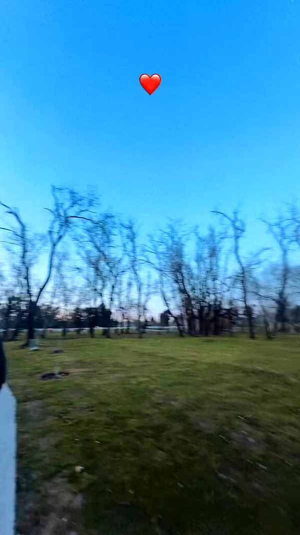_aldibernardo archive video preview