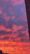 _lironatias Altpins Profile Picture