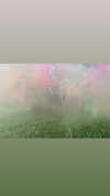 saaay_nas Altpins Profile Picture