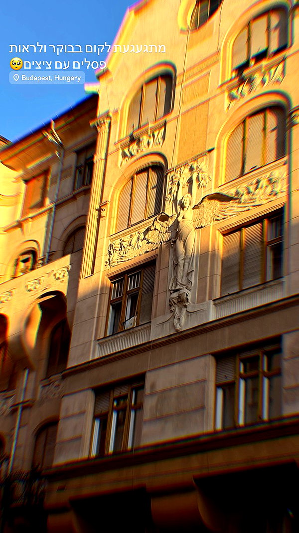 _.shelichka._ archive video preview