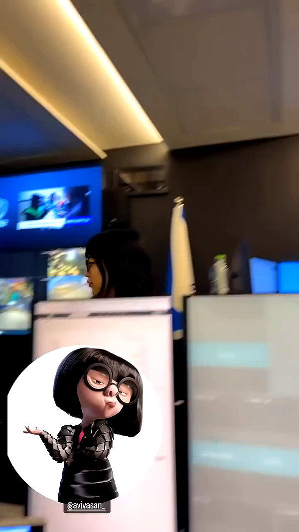 avivasan_chhaks archive video preview