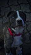 sina.njck Altpins Profile Picture