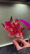 osher_yakir Altpins Profile Picture