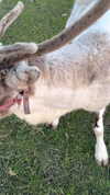 3xiiicom Altpins Profile Picture