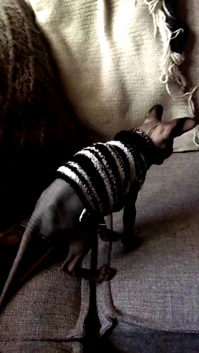 iluvmeww iluvmeww archive video