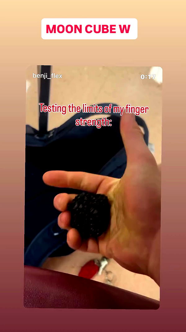 swholeanimal archive video preview