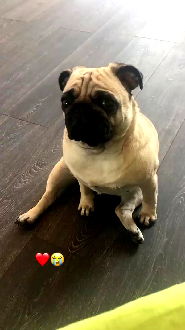 nyityam archive video preview