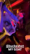 biohazard.g1rl Altpins Profile Picture