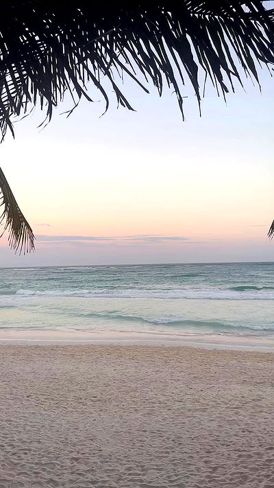 taylor.creeden taylor.creeden archive video