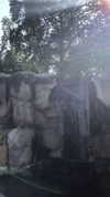 nikoleta.milenova Altpins Profile Picture