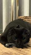 275.cn Altpins Profile Picture