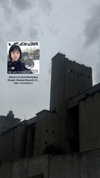 apathy.impress Altpins Profile Picture