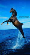 cyber.st4rz Altpins Profile Picture