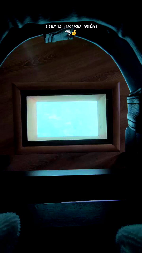 barzomer archive video preview