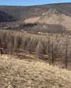 indra0102_ Altpins Profile Picture