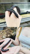 6a6ayaga3 Altpins Profile Picture