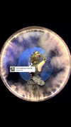 imskirby Altpins Profile Picture