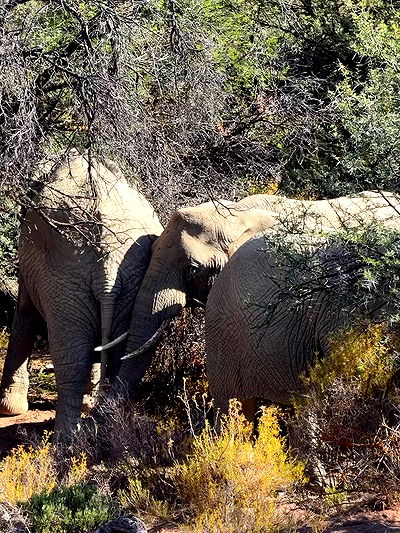 taylor.creeden taylor.creeden archive video