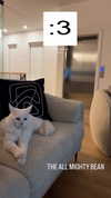 jessie.ra3 Altpins Profile Picture