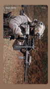 ninja.tactic Altpins Profile Picture