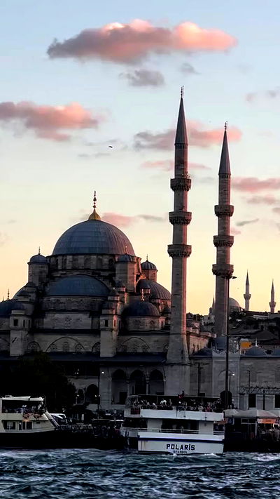 taylor.creeden taylor.creeden archive video