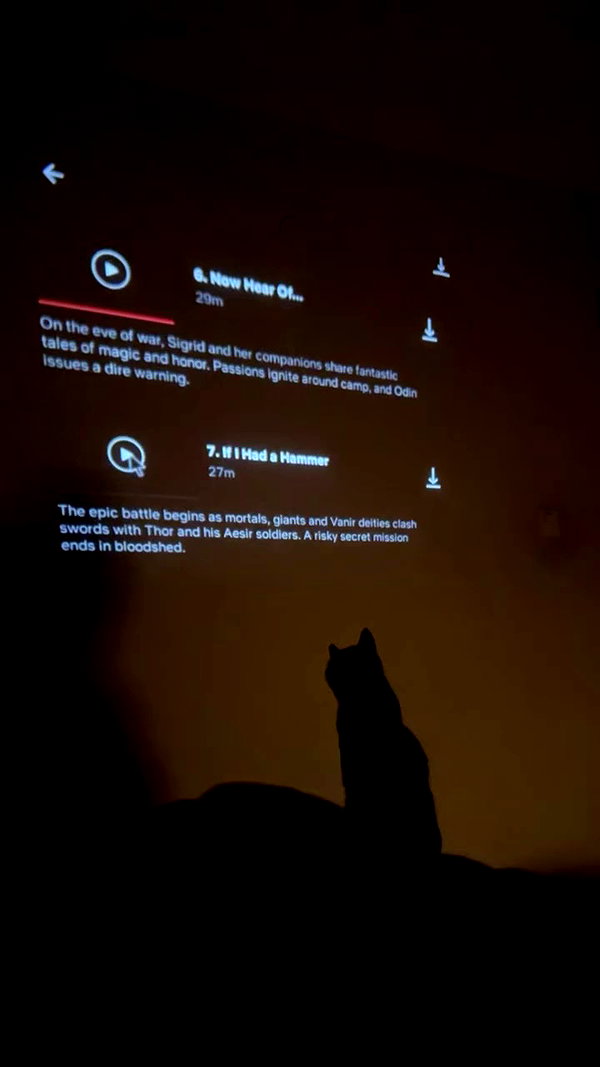 burcumsai archive video preview