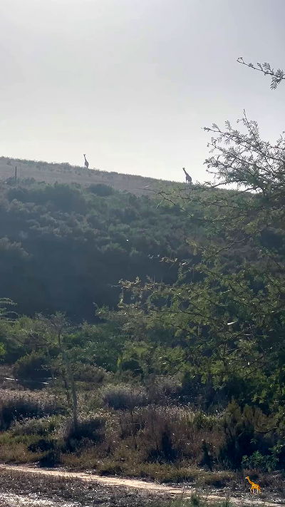 taylor.creeden taylor.creeden archive video