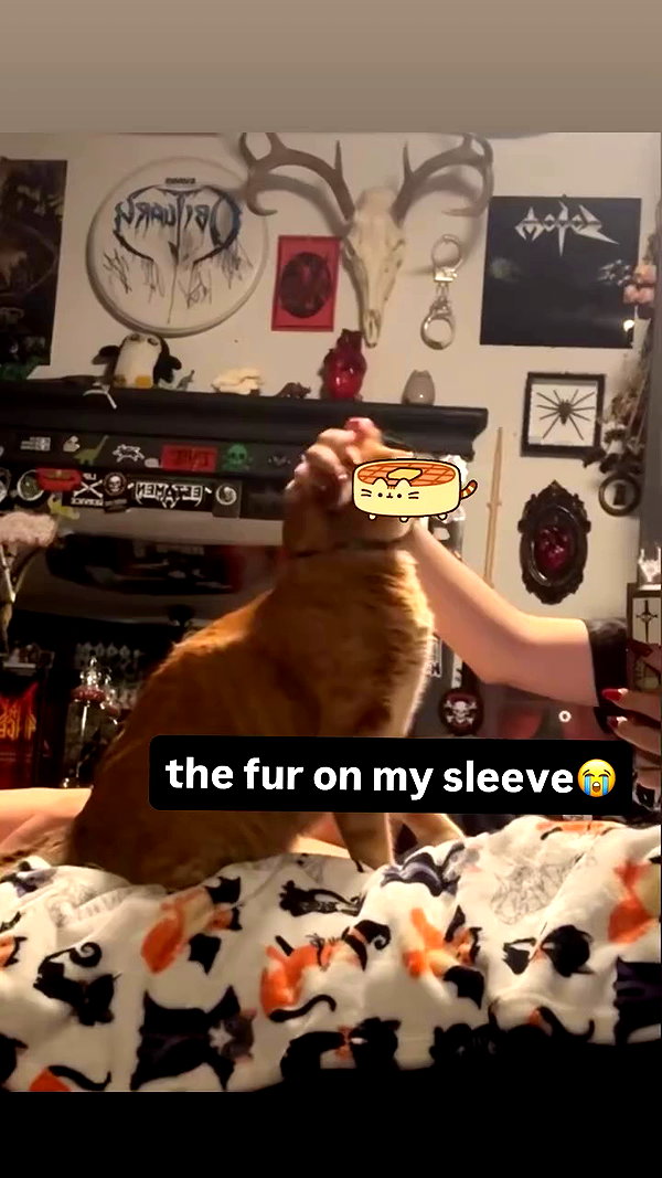 butter.on.a.poptart69 archive video preview
