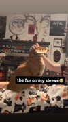 butter.on.a.poptart69 Altpins Profile Picture