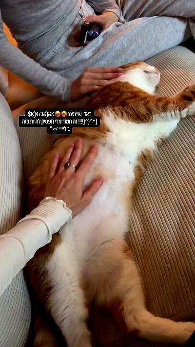 iambohema.v2 iambohema.v2 archive video