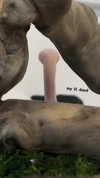 angelmeghann Altpins Profile Picture