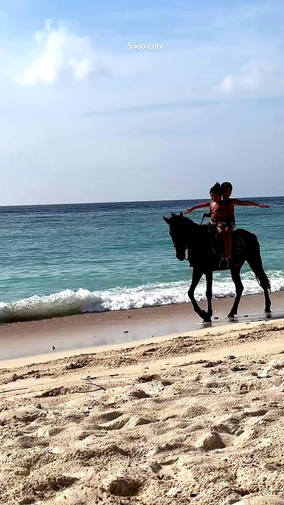 taylor.creeden taylor.creeden archive video