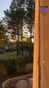 lyra.car Altpins Profile Picture