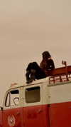 hadas_mayer_ Altpins Profile Picture