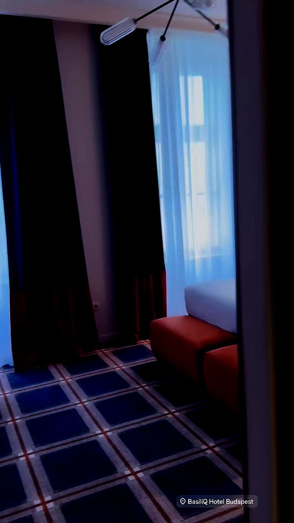 topaz_bn archive video preview