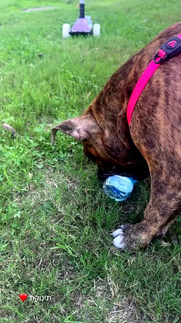 michelleloven_ archive video preview