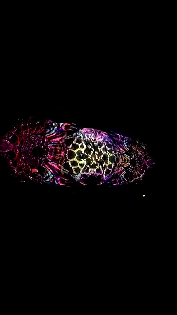 talya.fridland archive video preview