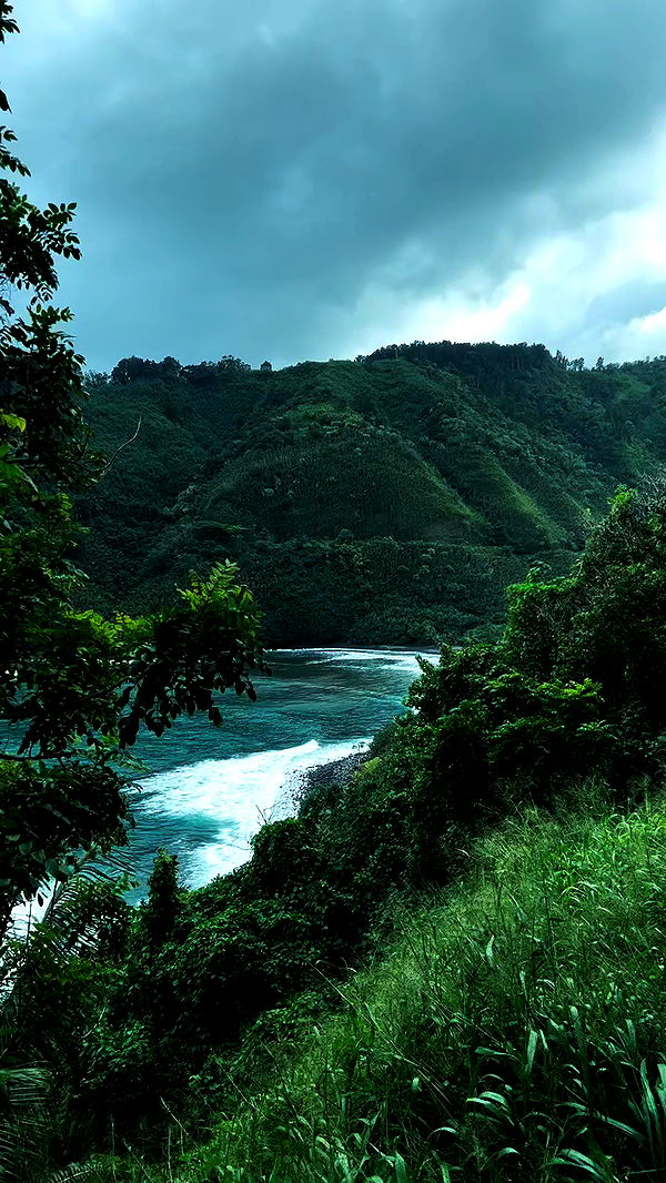 zommmbri archive video preview