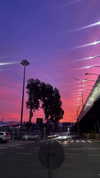 mishel_d_ Altpins Profile Picture