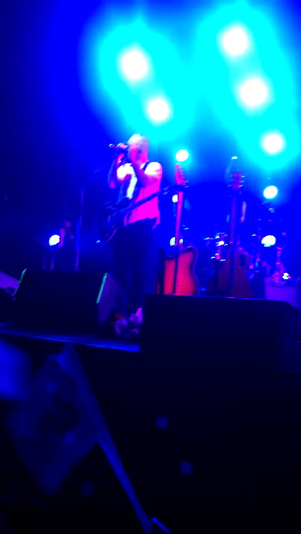 saaay_nas archive video preview