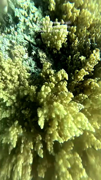 taylor.creeden taylor.creeden archive video