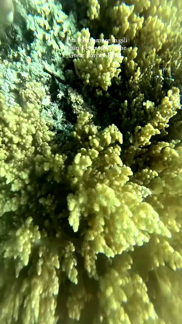 taylor.creeden archive video preview