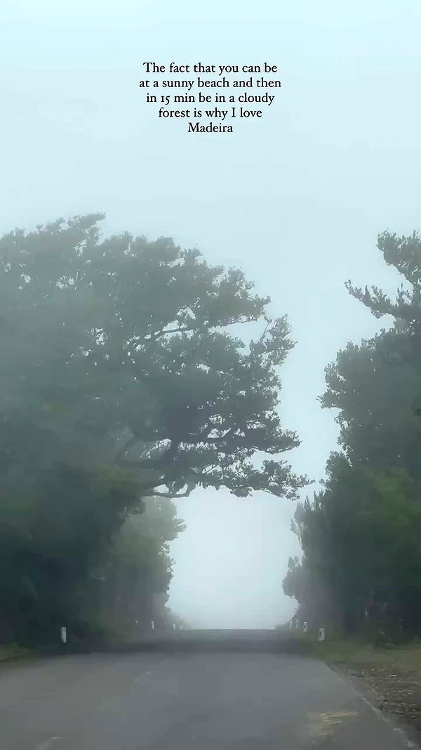 taylor.creeden archive video preview