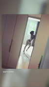 zommmbri Altpins Profile Picture