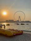 daniella_zeldis Altpins Profile Picture