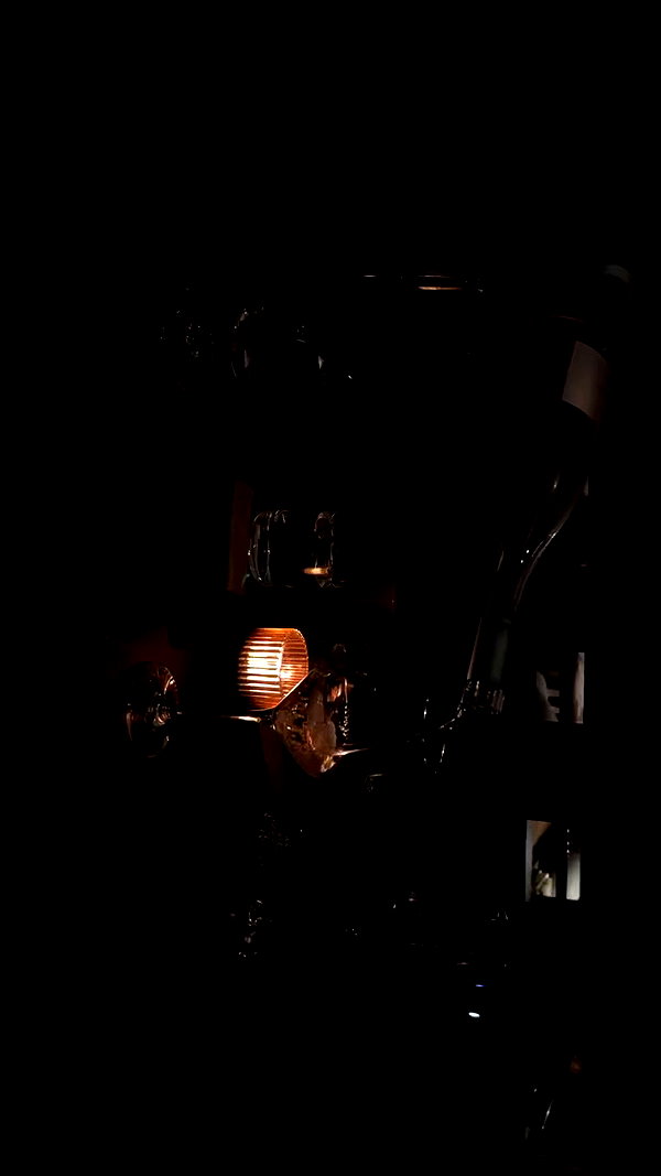madisonwoolley archive video preview