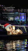 daisy_r_19 Altpins Profile Picture