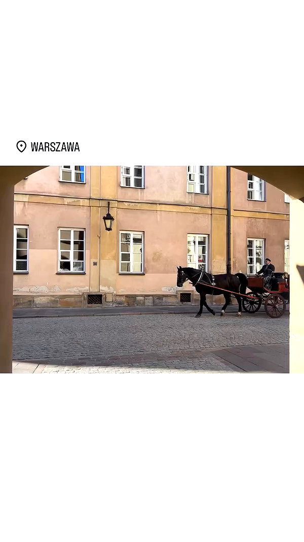 carmexan archive video preview