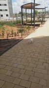 tinapavlov.sky Altpins Profile Picture